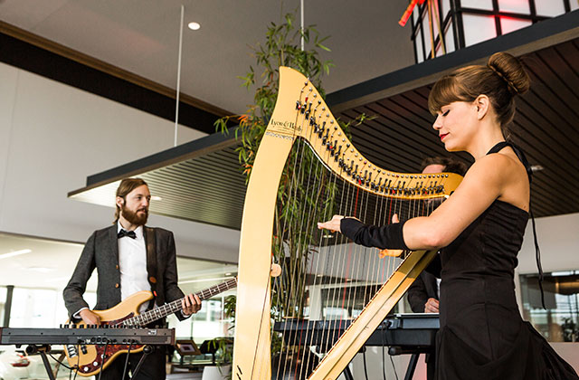 Bassiste avec Harpiste M'Michèle